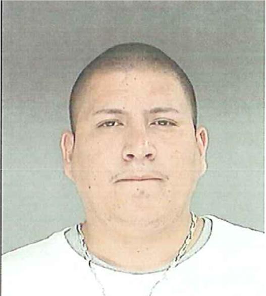 Christopher Farrell Bordeaux