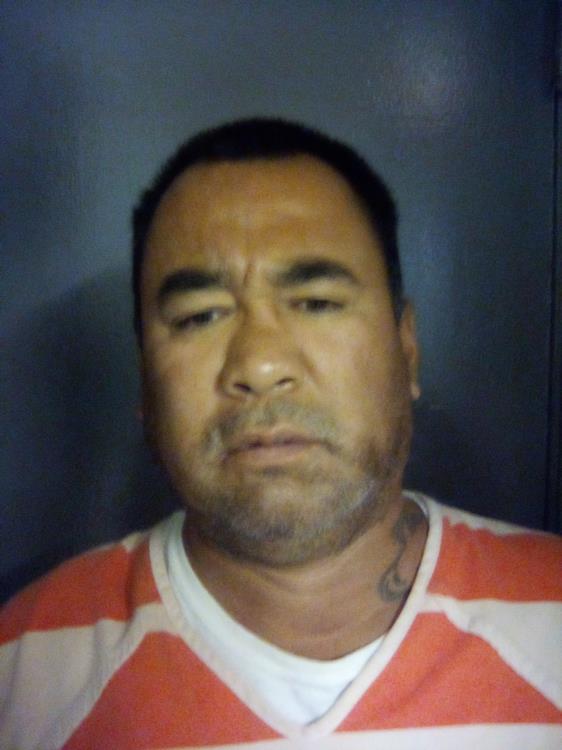 Vince Lamar Hunts Horse