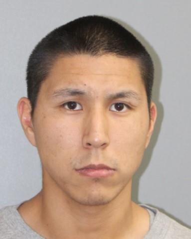 Sebastian Blue Horse Matoushek