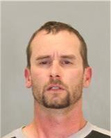 Michael Grant Ledwich