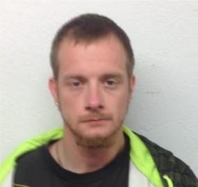 Robert Lauren Gaffney