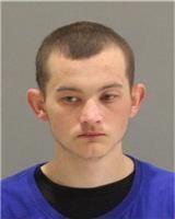 Frank Eugene Brandt Jr