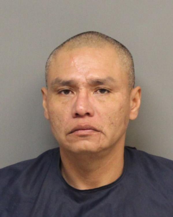 Noren Dean Walking Bull