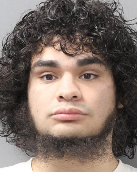 Darrion Taylor Luna Estrada