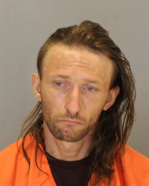 Steven Michael Mattson