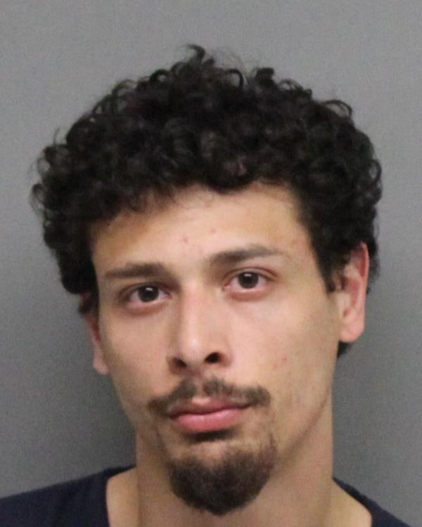 Orlando Agustin Palmer