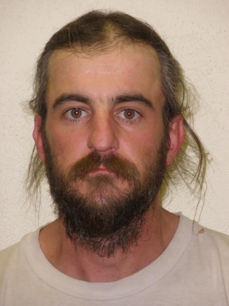 David Michael Albert Sr